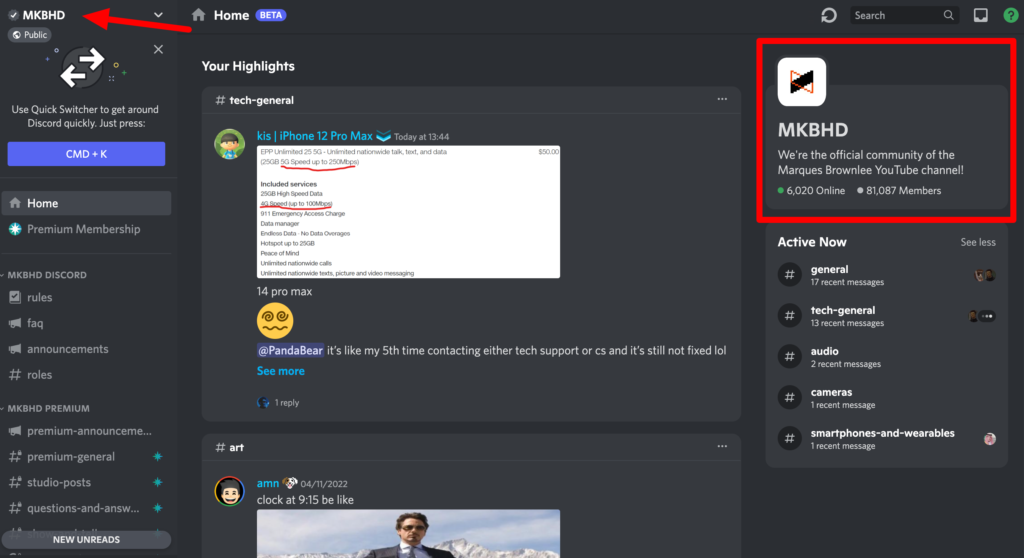 Create a professional discord server for you or your group by