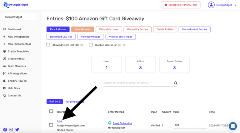 Manually Add Entries For A User | SweepWidget